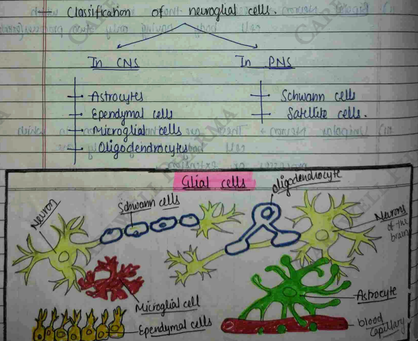 Screenshot 2026-02-23 203320