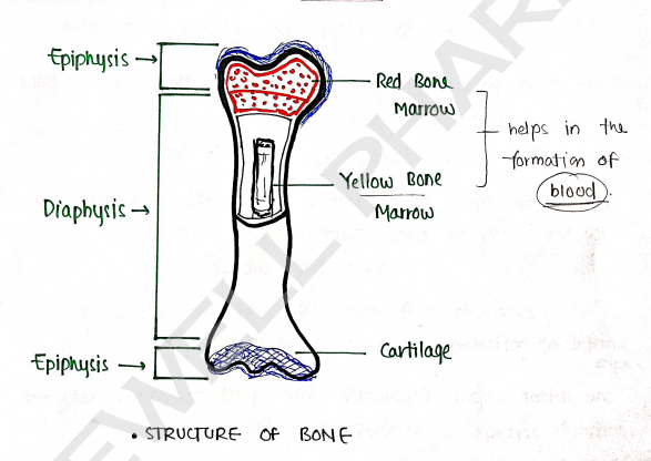 Screenshot 2026-02-10 150026