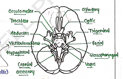 Screenshot 2026-02-11 194827