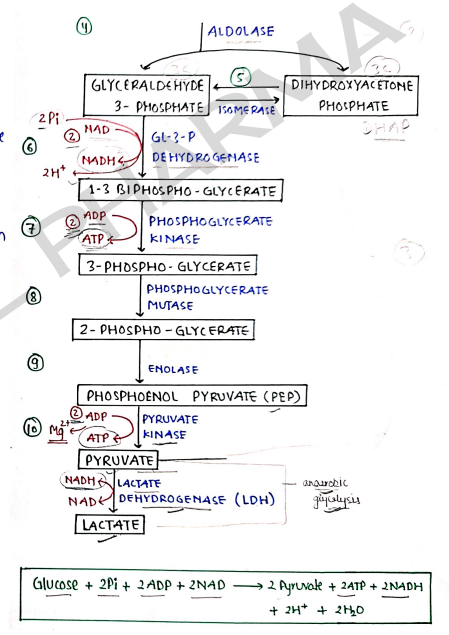 Screenshot 2026-03-09 135233