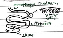 Screenshot 2026-02-24 204207