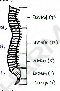 Screenshot 2026-02-10 150131