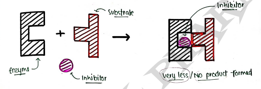 Screenshot 2026-03-10 125733