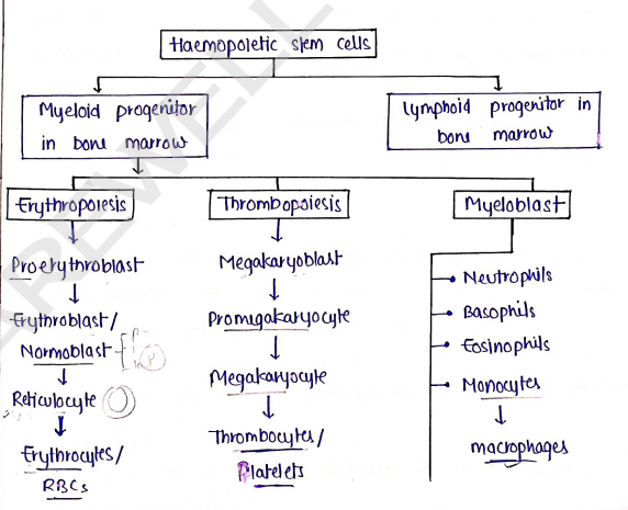 Screenshot 2026-02-11 152619