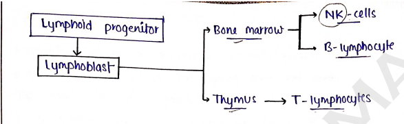 Screenshot 2026-02-11 152632