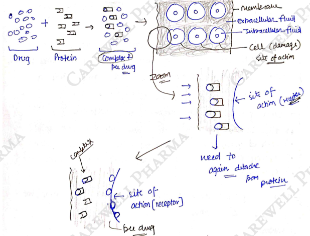 Screenshot 2026-03-30 215248