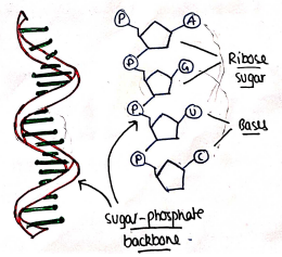 Screenshot 2026-03-10 105437