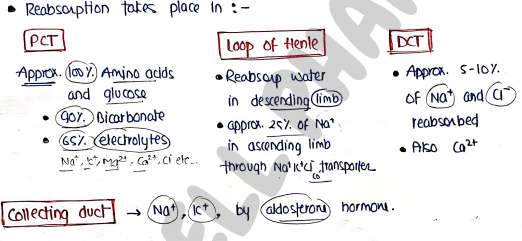 Screenshot 2026-02-25 193501