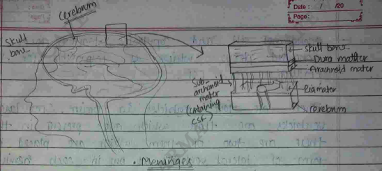 Screenshot 2026-02-23 203858