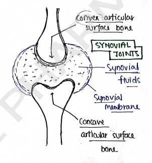 Screenshot 2026-02-10 230816