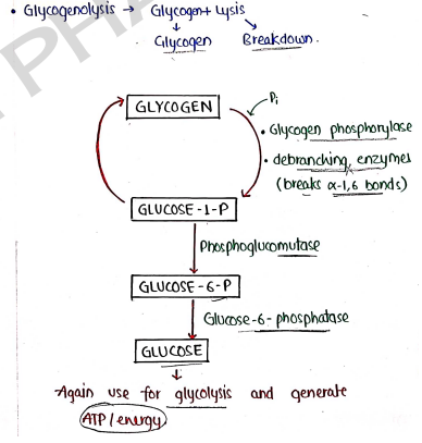 Screenshot 2026-03-09 135435