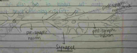 Screenshot 2026-02-23 203651