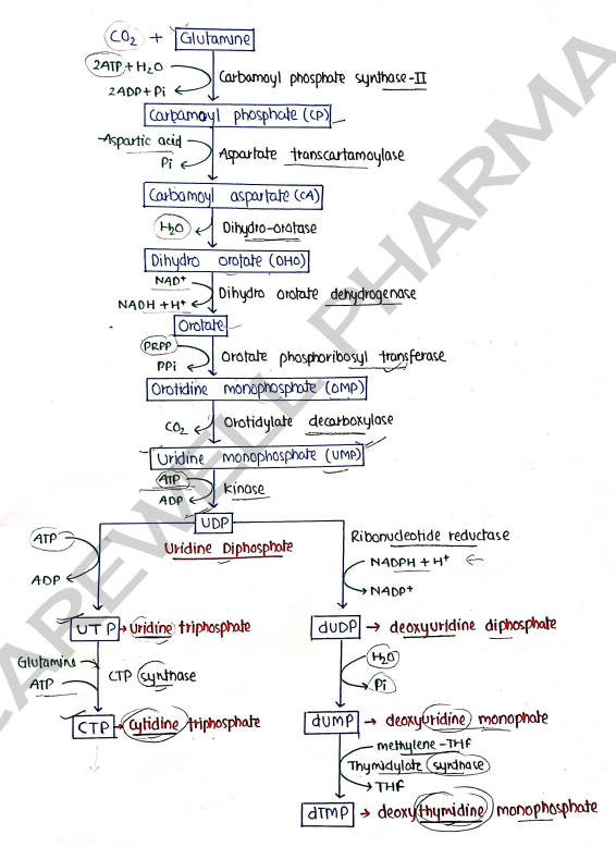 Screenshot 2026-03-10 105227