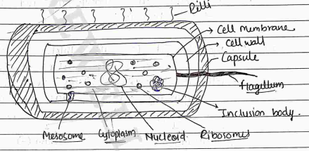 Screenshot 2026-04-06 105620