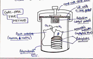 Screenshot 2026-04-06 112031