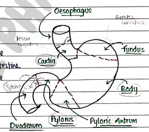 Screenshot 2026-02-24 204155