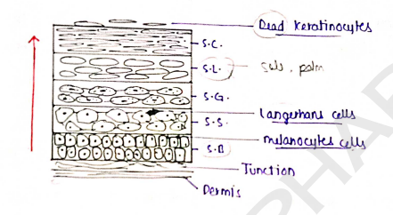 Screenshot 2026-02-10 143619