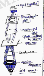 Screenshot 2026-04-06 111705