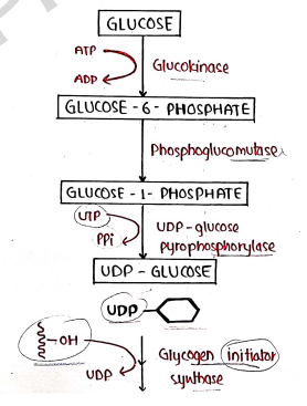 Screenshot 2026-03-09 135414