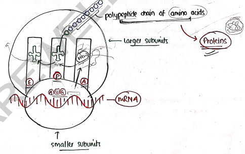 Screenshot 2026-03-10 105624