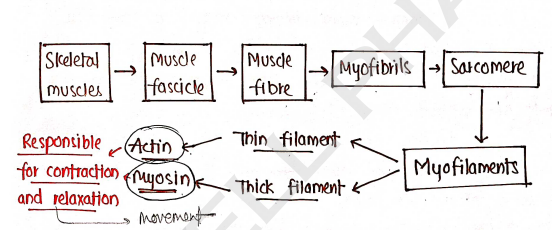 Screenshot 2026-02-10 150255