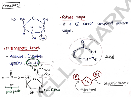 Screenshot 2026-03-10 113414