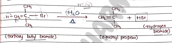 Screenshot 2026-03-12 234046