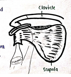 Screenshot 2026-02-10 150110