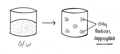 Screenshot 2026-02-16 170351