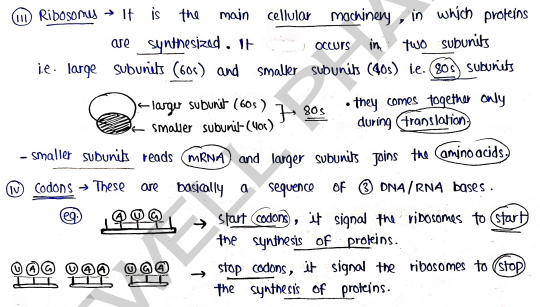 Screenshot 2026-03-10 105610