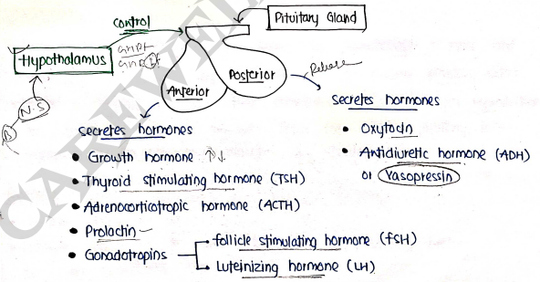 Screenshot 2026-03-07 231639