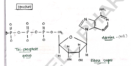 Screenshot 2026-03-09 115138