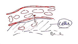 Screenshot 2026-02-11 152604