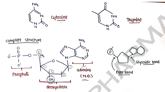 Screenshot 2026-03-10 105357