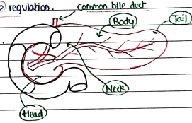 Screenshot 2026-02-24 204254