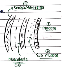 Screenshot 2026-02-24 204103