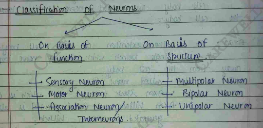 Screenshot 2026-02-23 203046