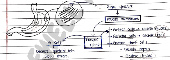 Screenshot 2026-02-24 204330