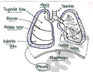 Screenshot 2026-02-25 193256