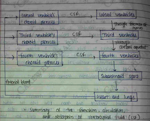 Screenshot 2026-02-23 203924