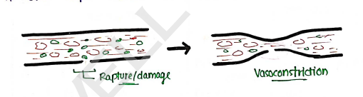 Screenshot 2026-02-11 152715