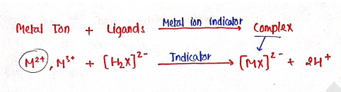 Screenshot 2026-02-13 204120