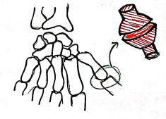 Screenshot 2026-02-10 230850