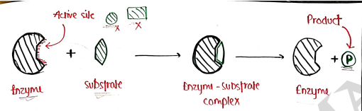 Screenshot 2026-03-10 125329