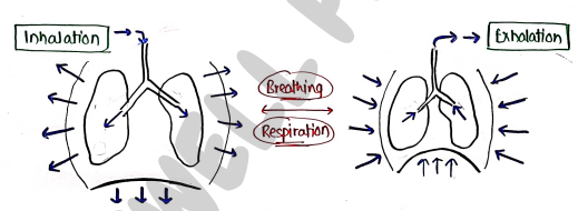 Screenshot 2026-02-25 193315