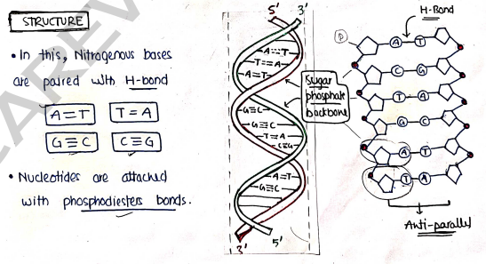 Screenshot 2026-03-10 105411