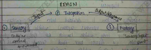 Screenshot 2026-02-23 202822