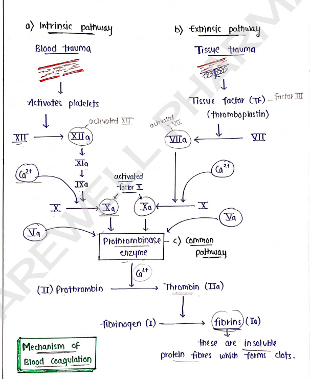 Screenshot 2026-02-11 160940