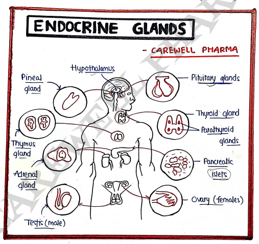 Screenshot 2026-03-07 231518