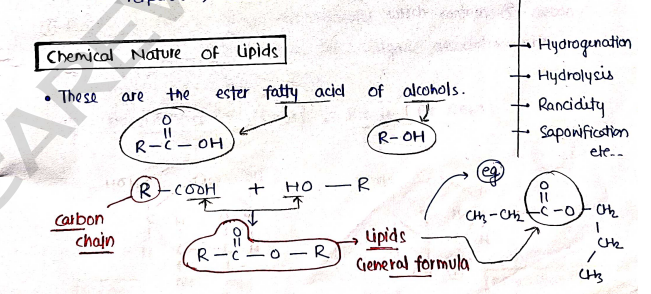 Screenshot 2026-03-08 191114